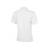 Forehand Women's Polo Shirt