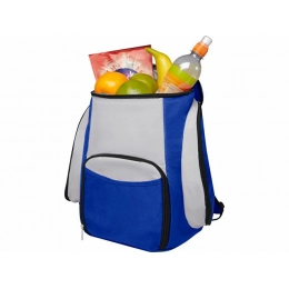 Backpack refrigerator 