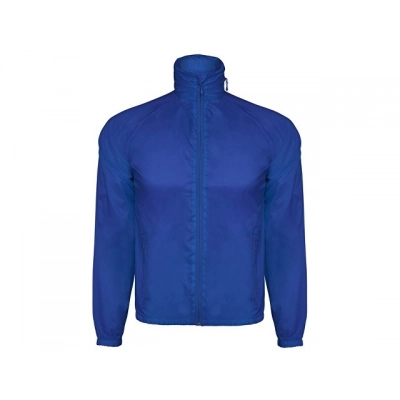 
                                                Kentucky men's windbreaker
                                                