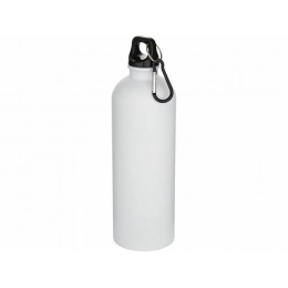 Water bottle with carabiner 