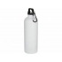 Water bottle with carabiner 