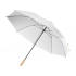 Umbrella-cane 