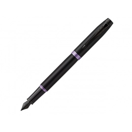 Parker fountain pen 