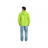 Men's windbreaker 