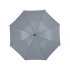 Umbrella-cane 