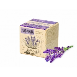 Lavender growing kit