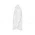 Oxford long sleeve shirt, men's