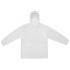 Men's windbreaker 