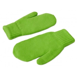 Варежки «Dunant»