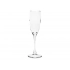 Champagne flute 