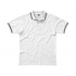 Men's polo shirt 