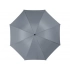 Umbrella-cane 