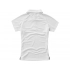 Ottawa women's polo shirt