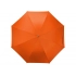 Umbrella-cane 