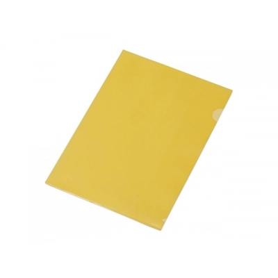 
                                            Папка-уголок А4, глянцевая
                                            