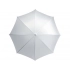 Umbrella-cane 