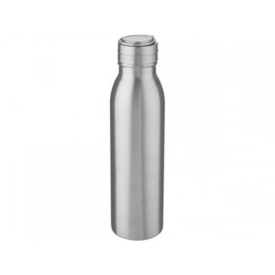 
                                            Бутылка для воды с металлической петлей «Harper», 700 мл
                                            