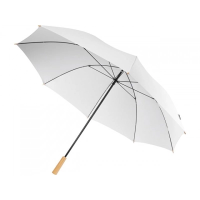 
                                                Umbrella-cane 