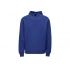 Unisex hoodie with hood 