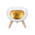 LED night light 