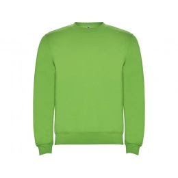 Sweatshirt with fleece 