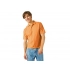 Men's polo shirt 