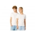 Men's 