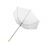 Umbrella-cane 
