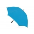 Umbrella-cane 