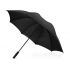 Umbrella-cane 
