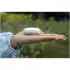 Boompods Echowave True Wireless earbuds