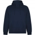 Vinson unisex hoodie