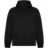 Vinson unisex hoodie