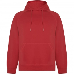 Vinson unisex hoodie