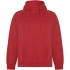 Vinson unisex hoodie