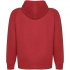 Vinson unisex hoodie