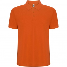 Мужское поло с коротким рукавом Pegaso Premium