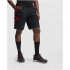 Tahoe 250 g/m2 workwear shorts