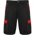 Tahoe 250 g/m2 workwear shorts