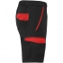 Tahoe 250 g/m2 workwear shorts