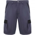 Tahoe 250 g/m2 workwear shorts