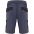 Tahoe 250 g/m2 workwear shorts