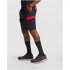 Tahoe 250 g/m2 workwear shorts