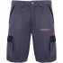 Tahoe 250 g/m2 workwear shorts