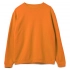 Spider 260 hoodie, orange