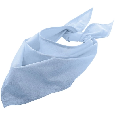 
                                                Blue Bandana neck scarf.
                                                