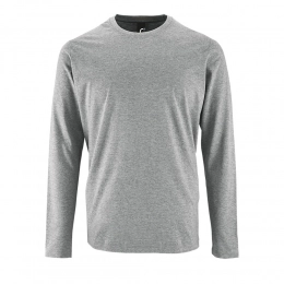 Long-sleeved T-shirt Imperial LSL Men, grey melange