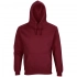 Unisex Condor hoodie, burgundy.