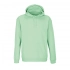 Unisex Condor hoodie, frosty green.