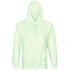 Unisex Condor hoodie, light green.